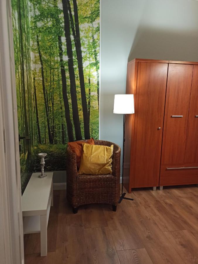Apartament Rozeta Centrum 6Os Легница Екстериор снимка
