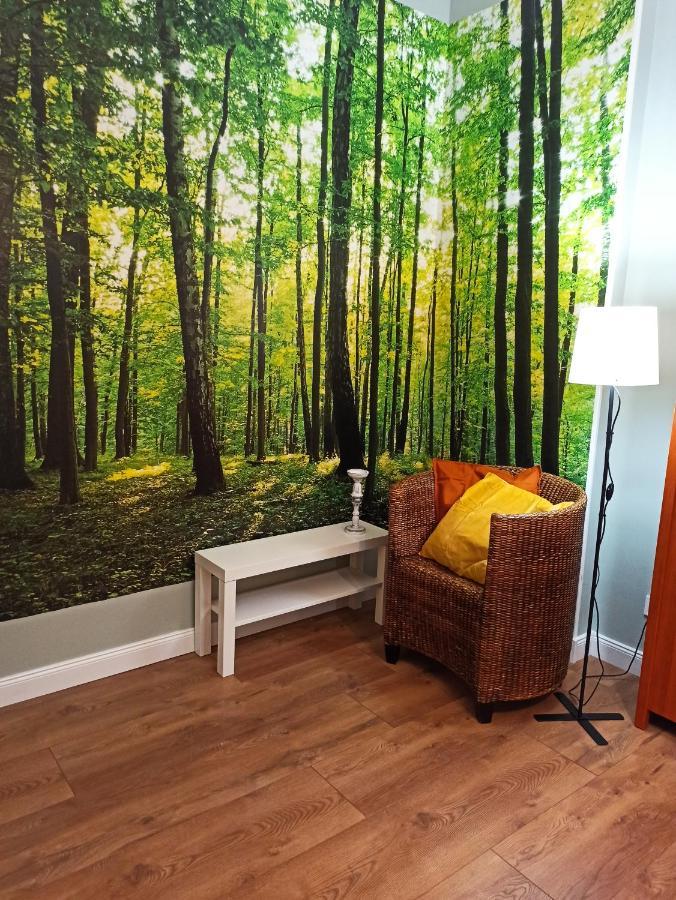 Apartament Rozeta Centrum 6Os Легница Екстериор снимка