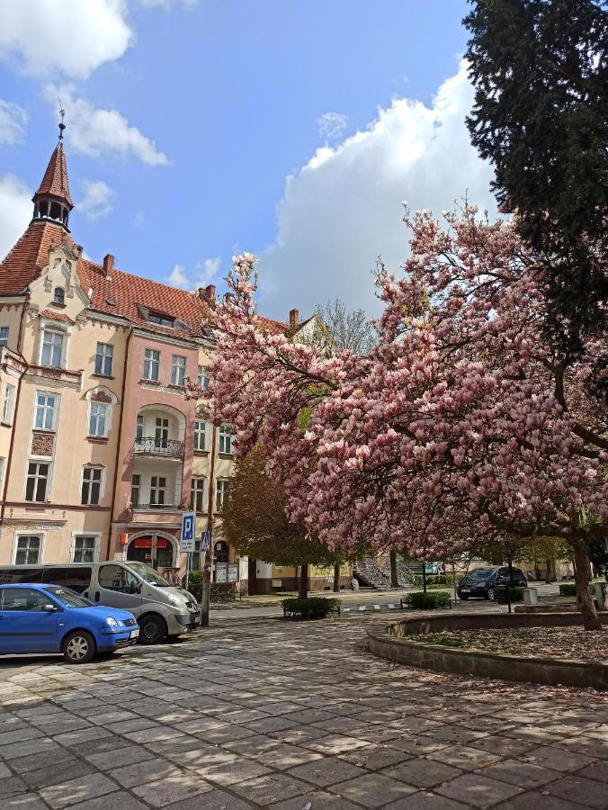 Apartament Rozeta Centrum 6Os Легница Екстериор снимка
